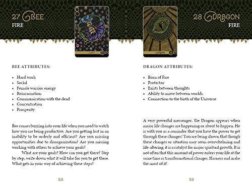 The Wild Elemental Oracle: (Oracle Kit Box Set with 44 Cards and Guide Book)