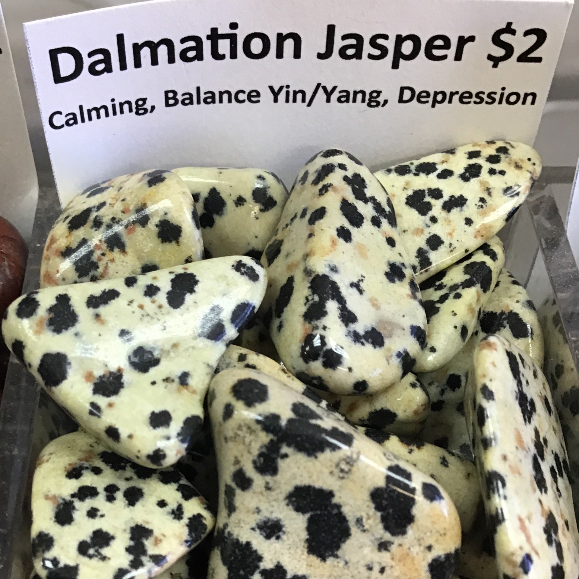 Tumbled Jasper Dalmatian small