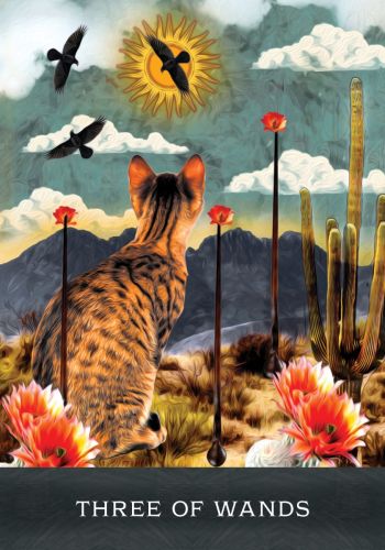 Grimalkin's Curious Cats Tarot An 80-Card Deck and Guidebook