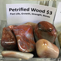 Tumbled Petrified Wood