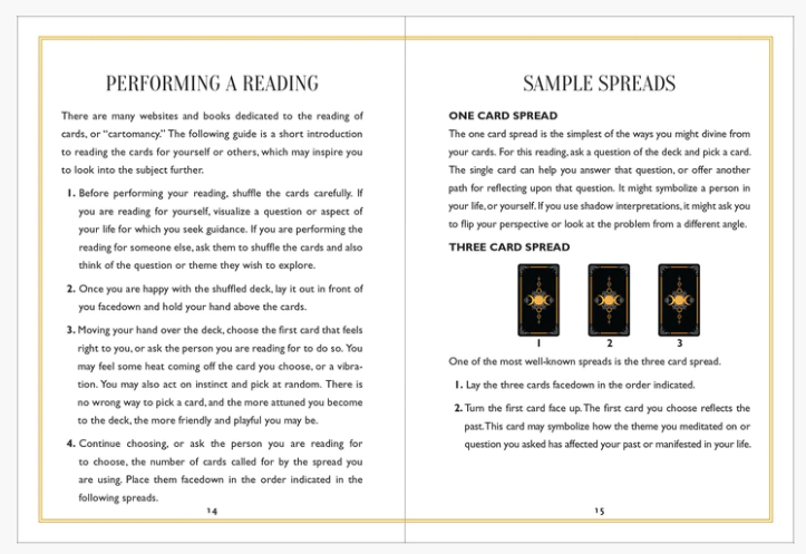 Wild Mystic Oracle Card Deck