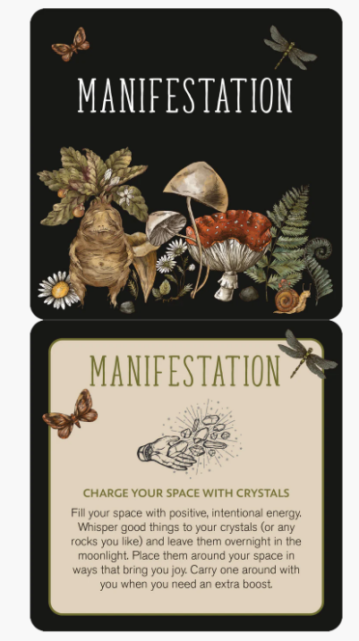 Everyday Spells for Busy Witches Insight Cards