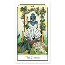 Nature Spirit Tarot: A 78-Card Deck and Book for the Journey of the Soul