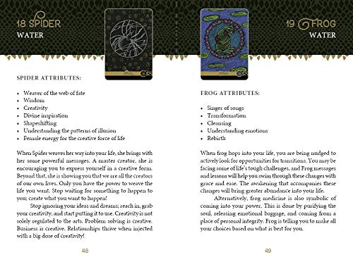 The Wild Elemental Oracle: (Oracle Kit Box Set with 44 Cards and Guide Book)