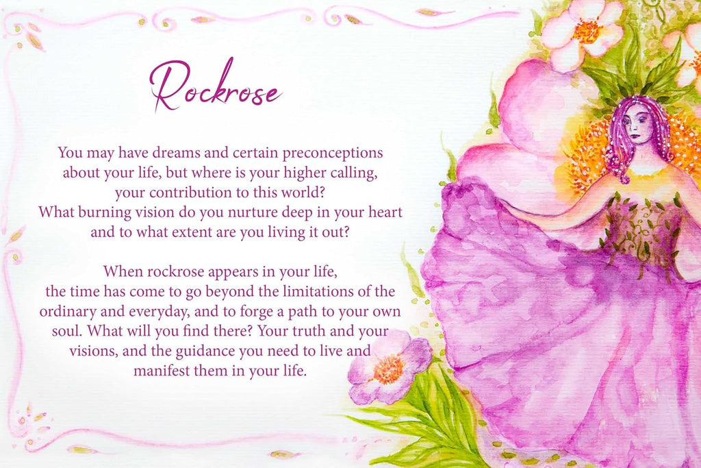 Essential Oils Oracle Cards: Wisdom and Guidance from 40 Healing Plants