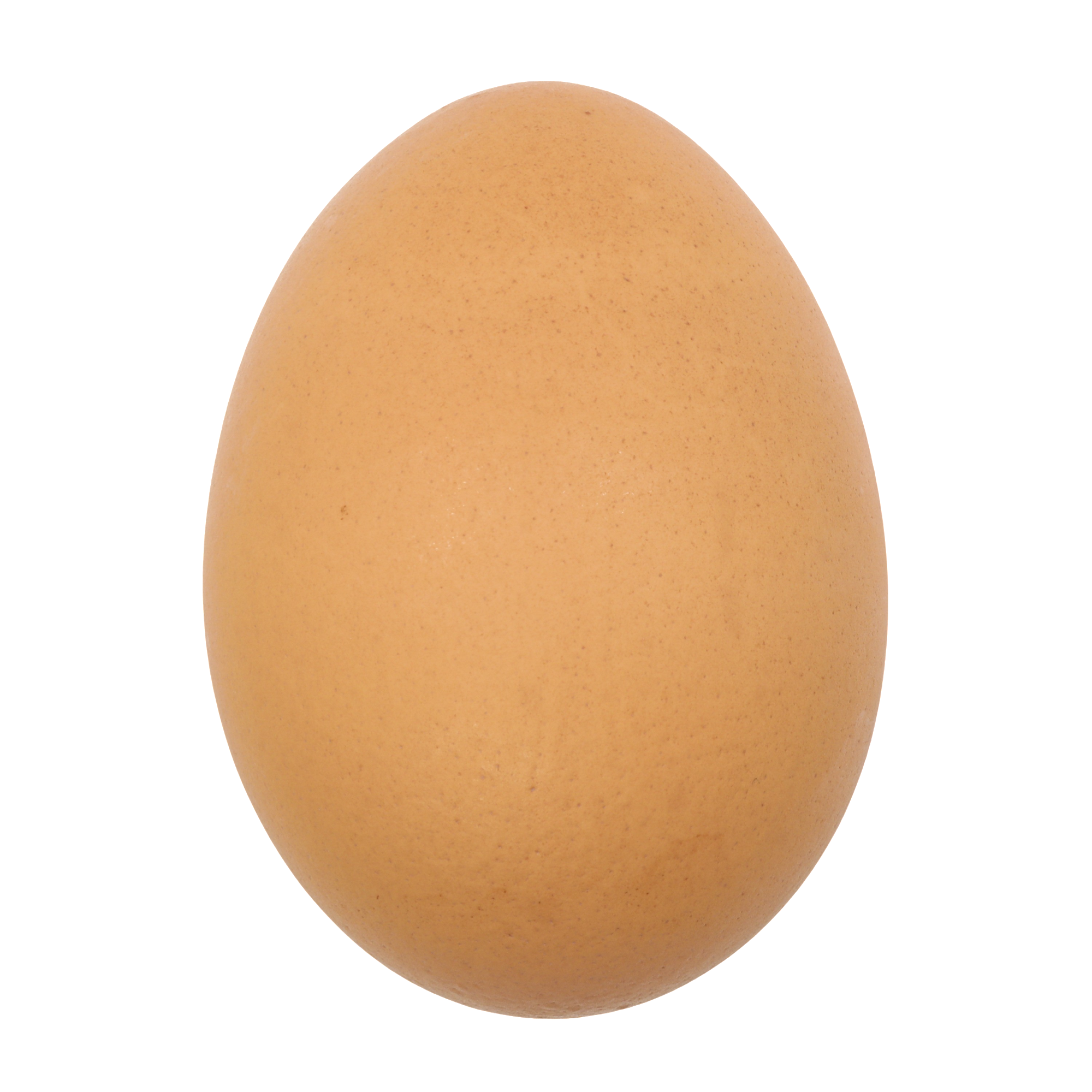 Easter Egg
