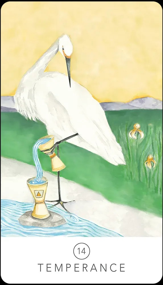 Black Seed Tarot