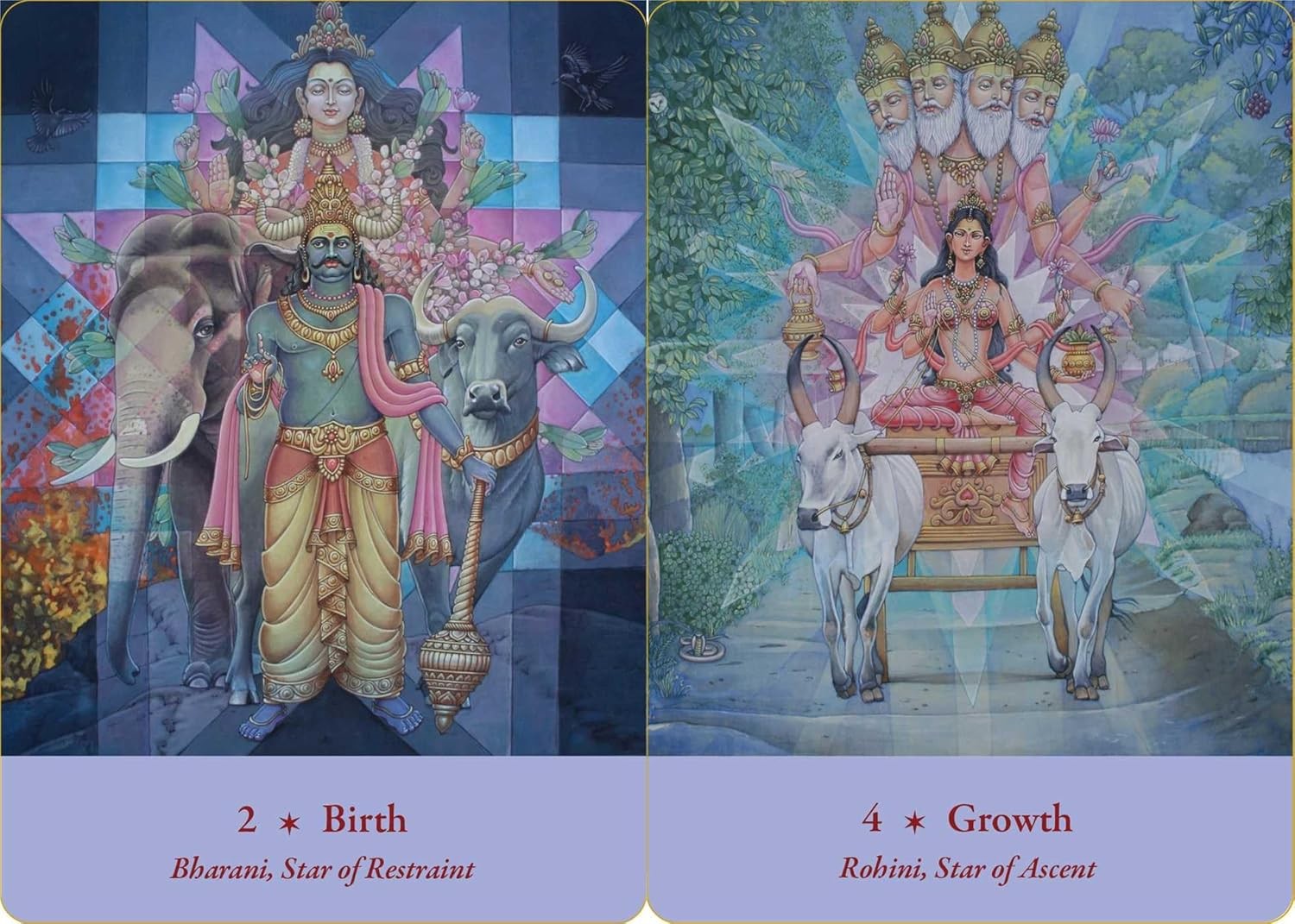 The Zodiac Light Oracle: Nakshatras, Sun Signs, and Planets