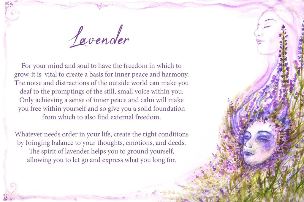 Essential Oils Oracle Cards: Wisdom and Guidance from 40 Healing Plants