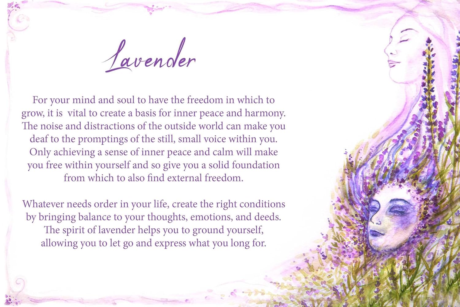 Essential Oils Oracle Cards: Wisdom and Guidance from 40 Healing Plants