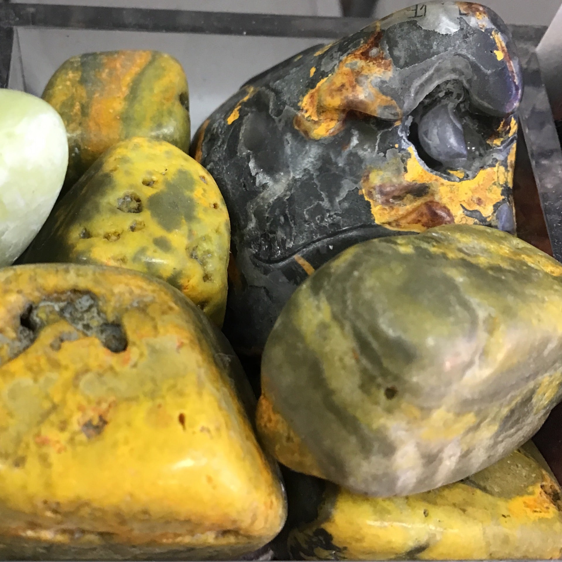 Tumbled Jasper Bumble Bee