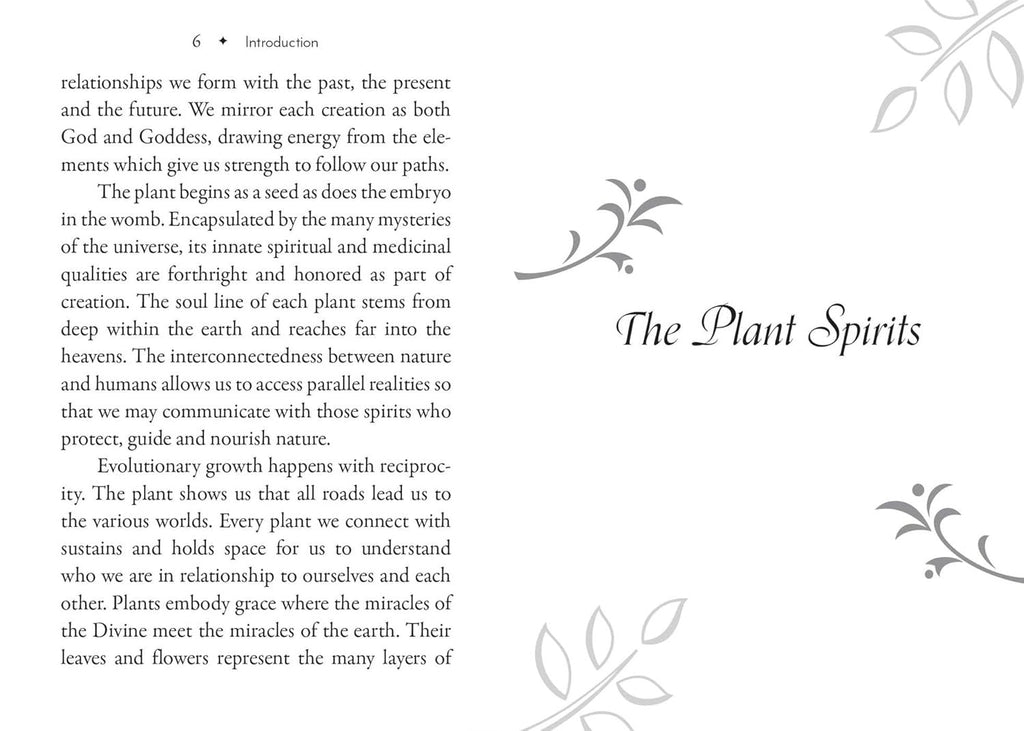 Plant Spirits Oracle: A 40-Card Deck and Guidebook