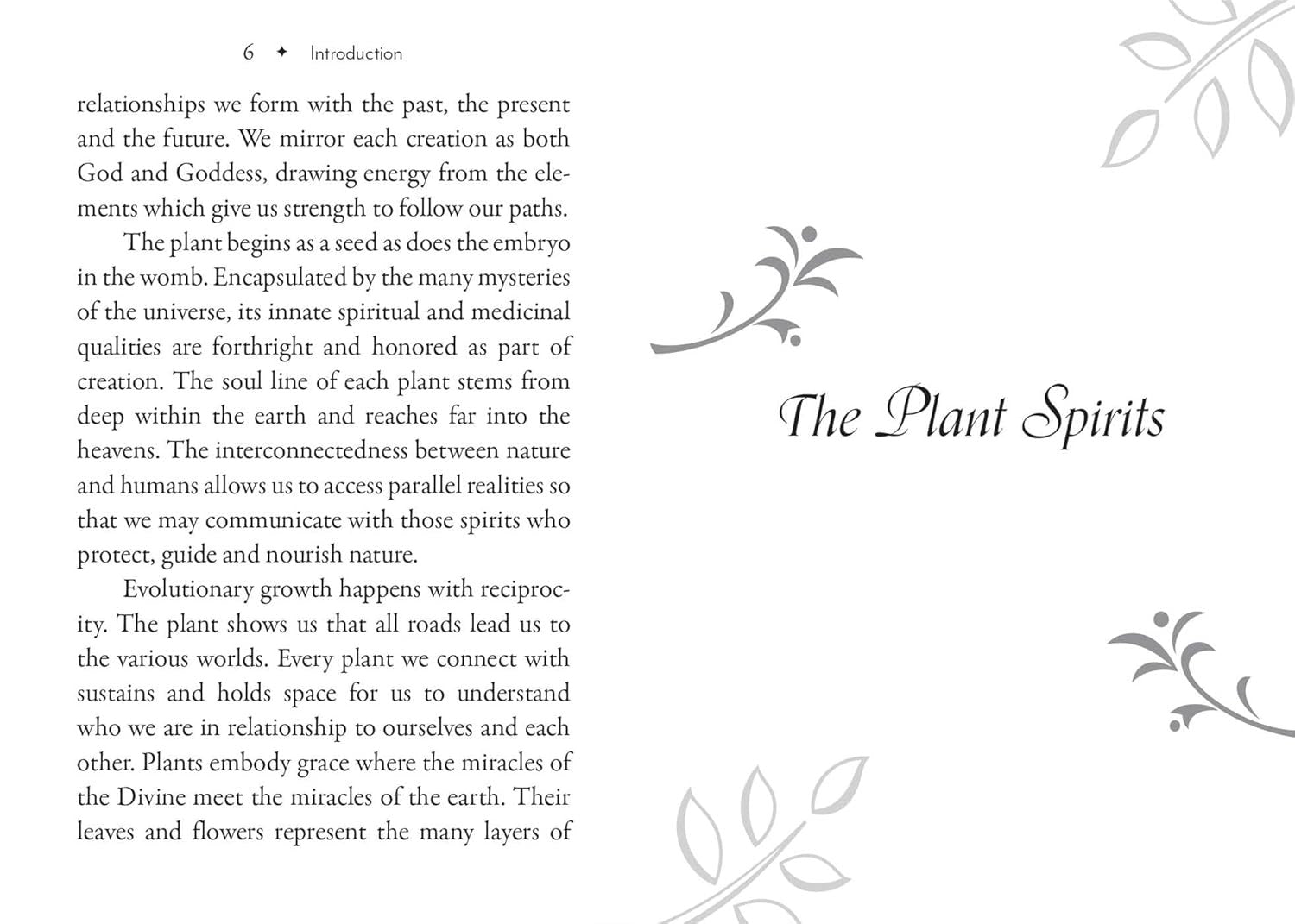 Plant Spirits Oracle: A 40-Card Deck and Guidebook