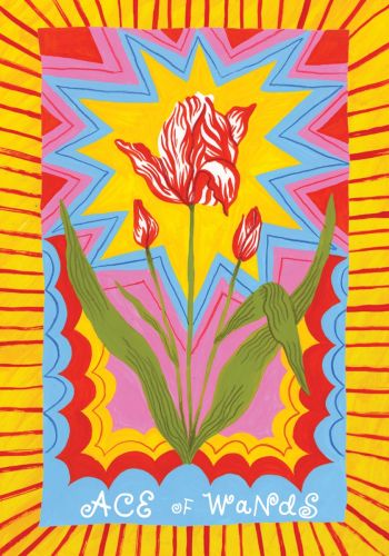 The Gentle Thrills Tarot: A 78-Card Deck & Guidebook