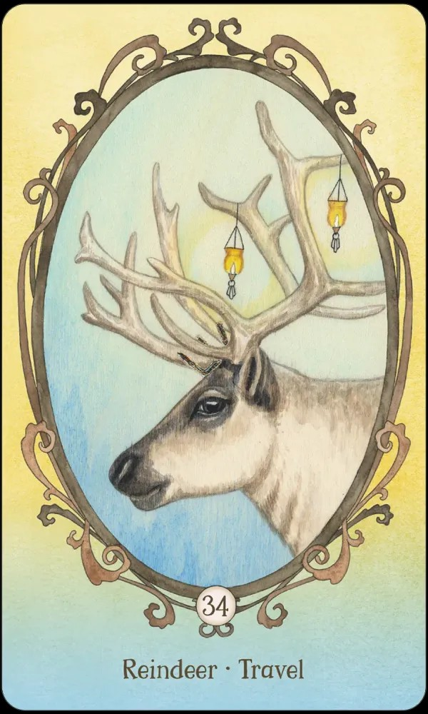 Wing, Hoof and Paw: An Animal Companion Oracle