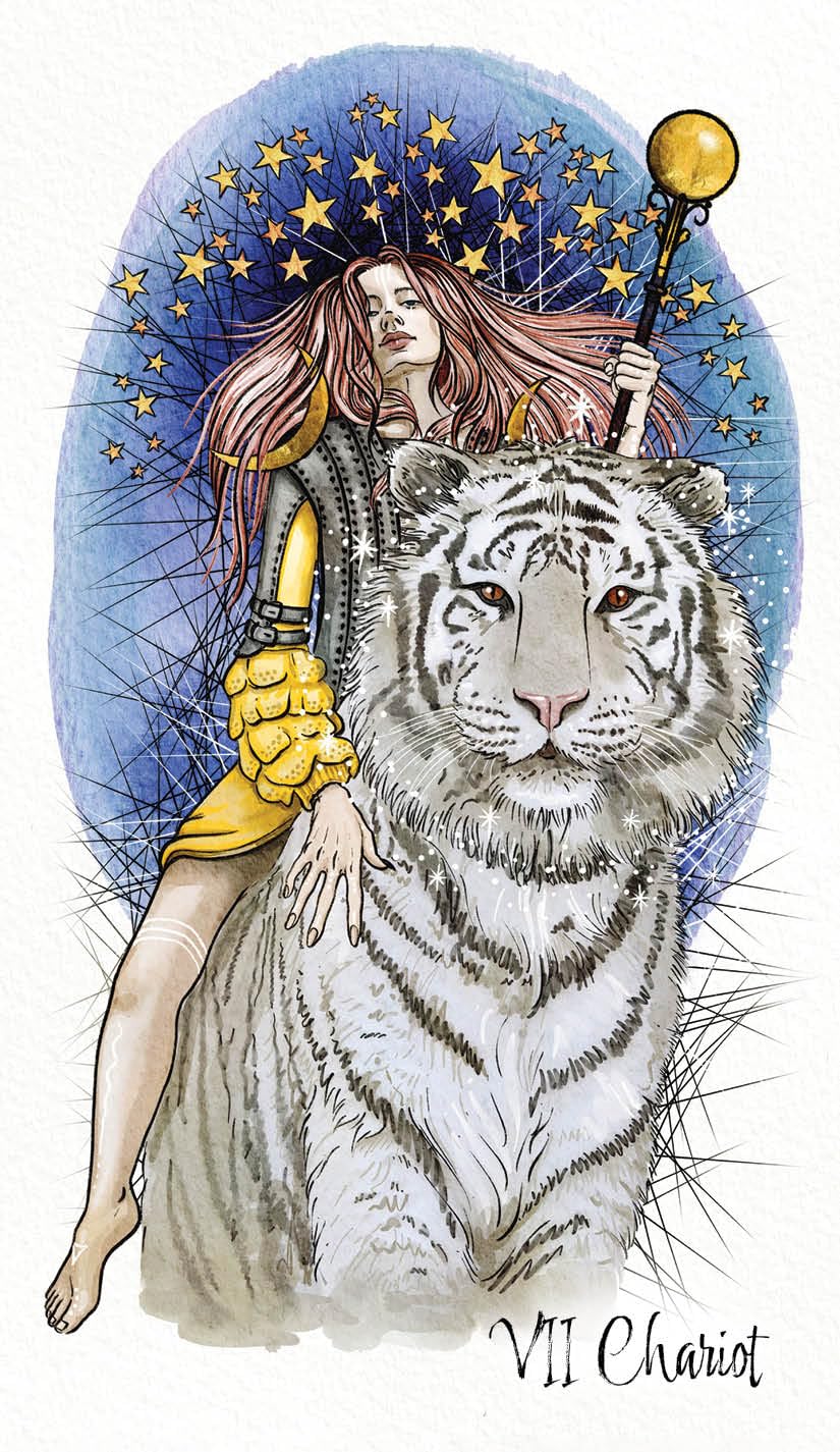 The Unfolding Path Tarot: A 78-Card Deck and Guidebook