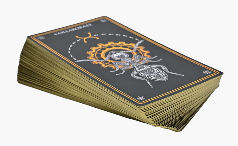 Wild Mystic Oracle Card Deck