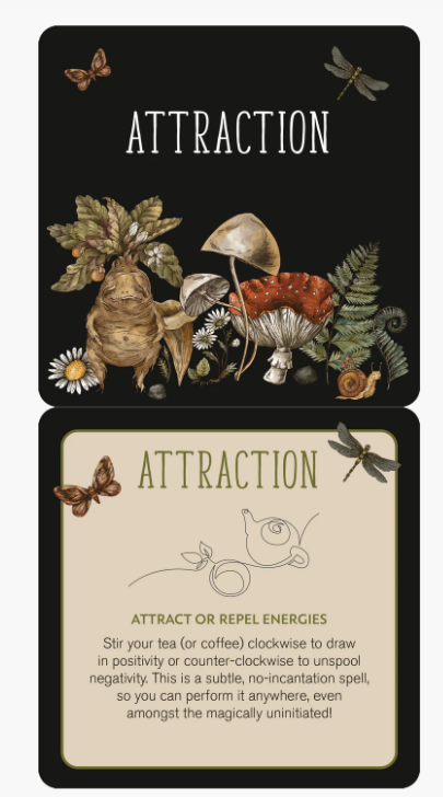 Everyday Spells for Busy Witches Insight Cards