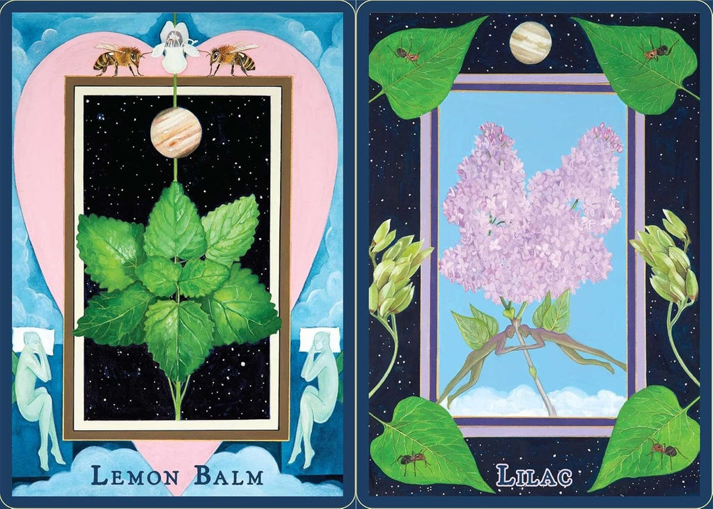 Plant Spirits Oracle: A 40-Card Deck and Guidebook