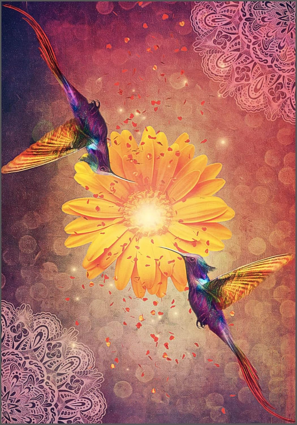 Hummingbird Wisdom Oracle Cards : (Oracle Kit Box Set with 44 Cards and Guide Book)