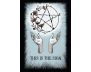 Crystal Ball Pocket Oracle: A 13-Card Deck and Guidebook