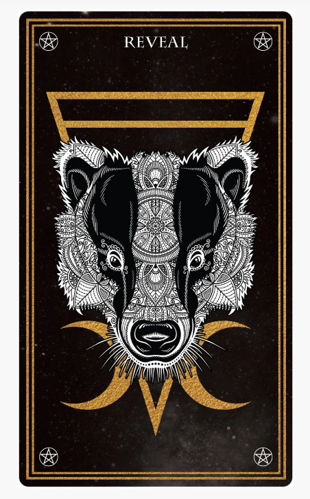 Wild Mystic Oracle Card Deck