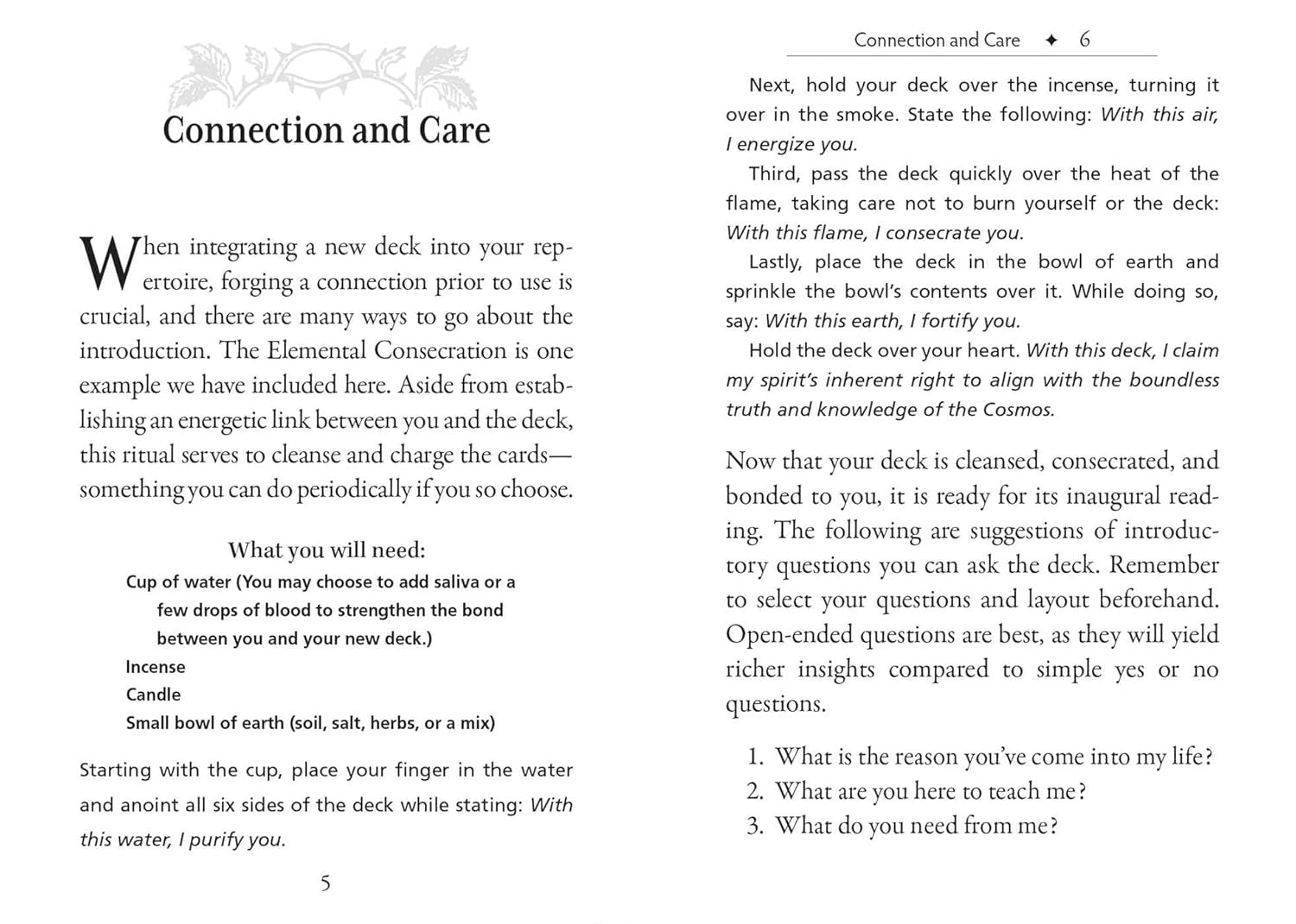The Runes and Roots Oracle: A 36-Card Deck and Guidebook