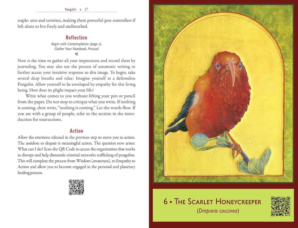 The Sacred Biodiversity Oracle: A 36-Card Deck and Guidebook