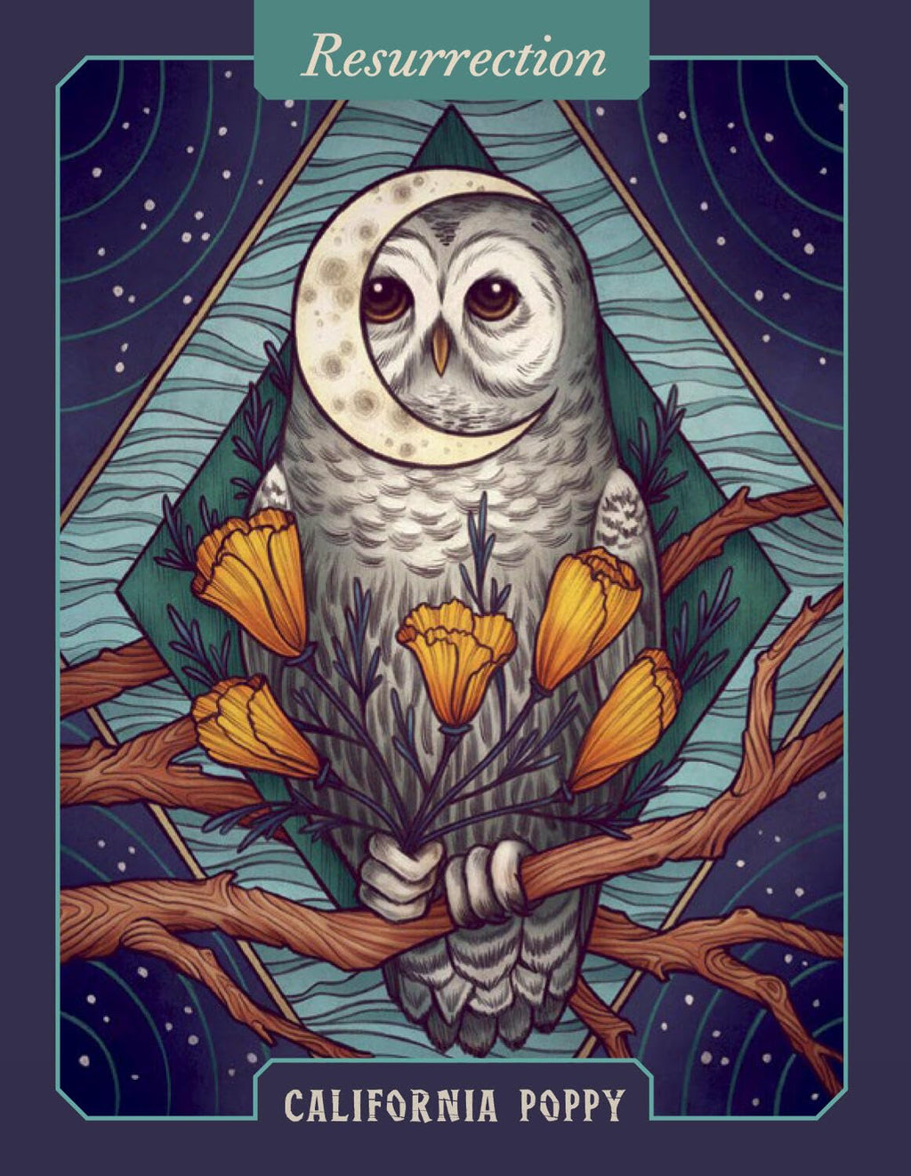 The Illustrated Herbiary Oracle Cards: 36-Card Deck of Bewitching Botanicals (Wild Wisdom) Cards