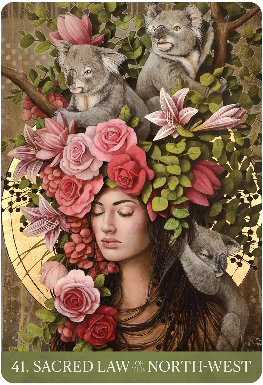 Medicine Heart Oracle: Shamanic Wisdom of the Divine Feminine