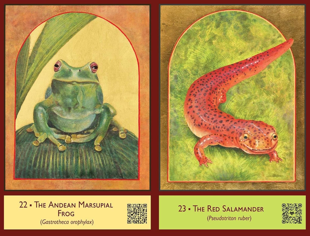 The Sacred Biodiversity Oracle: A 36-Card Deck and Guidebook