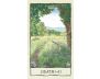 Mindscapes Tarot: An 80-Card Deck & Guidebook