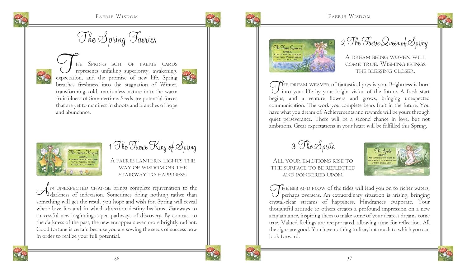 Faerie Wisdom: Includes 52 magical message cards and a 64-page illustrated book