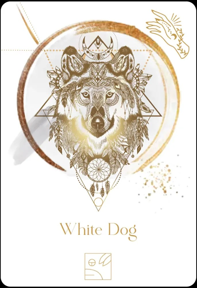 Maya Astro Cards