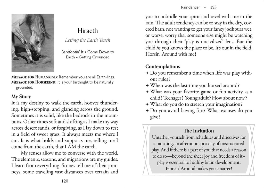 The Council of Horses Oracle