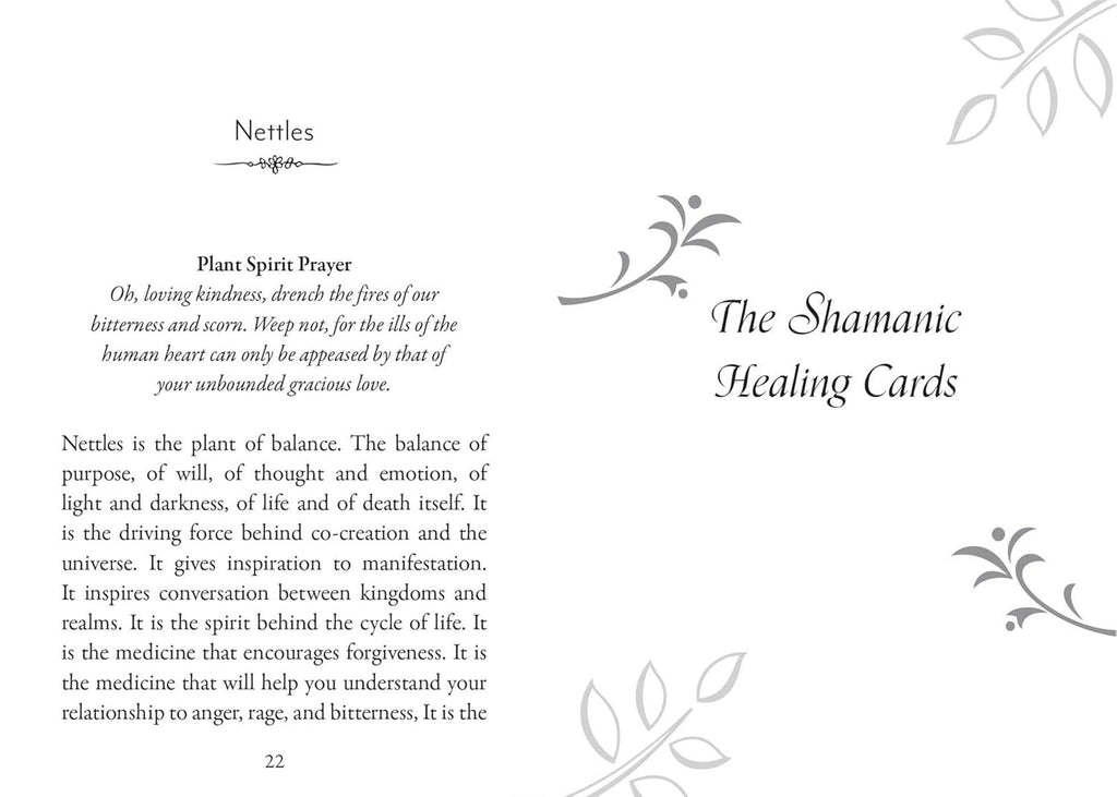 Plant Spirits Oracle: A 40-Card Deck and Guidebook