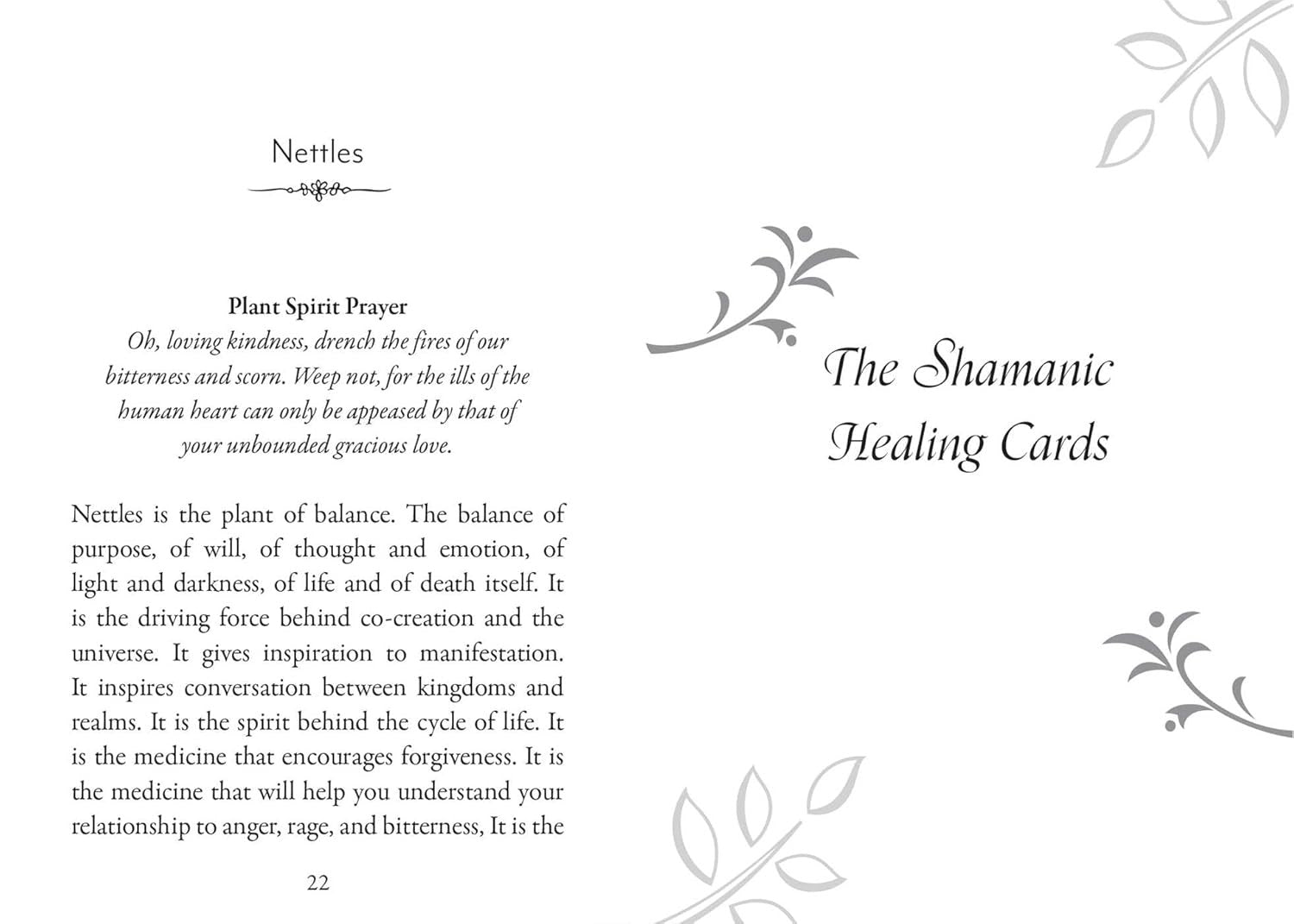 Plant Spirits Oracle: A 40-Card Deck and Guidebook