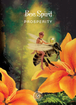 The Sacred Forest Oracle: 52 Cards to Open Energy Portals of a Higher Dimension