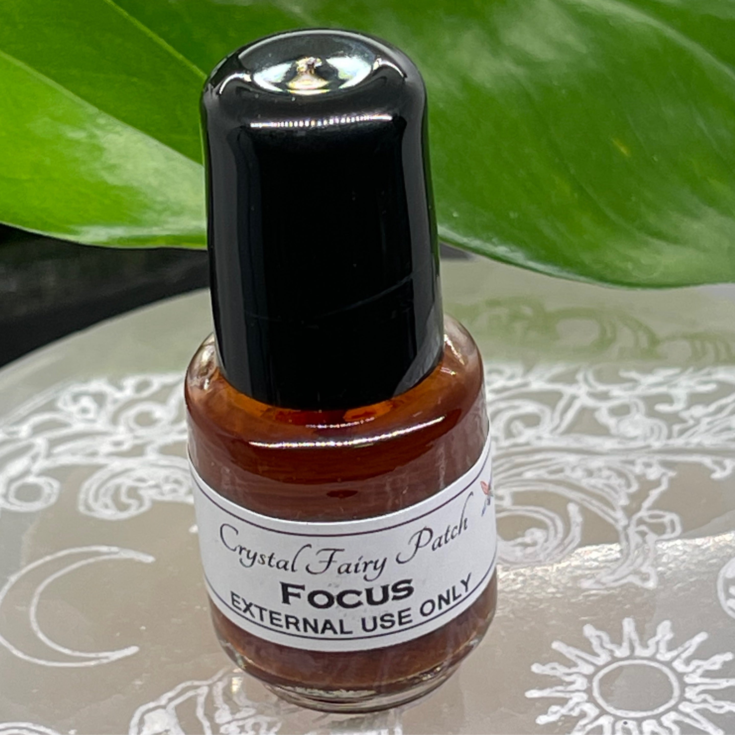 Focus Oil