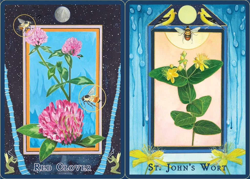 Plant Spirits Oracle: A 40-Card Deck and Guidebook