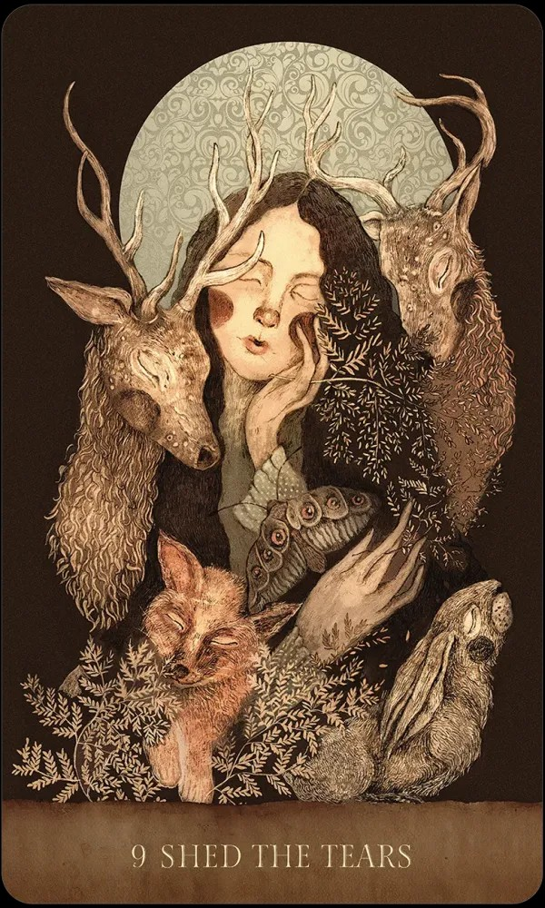 Dream Song Oracle