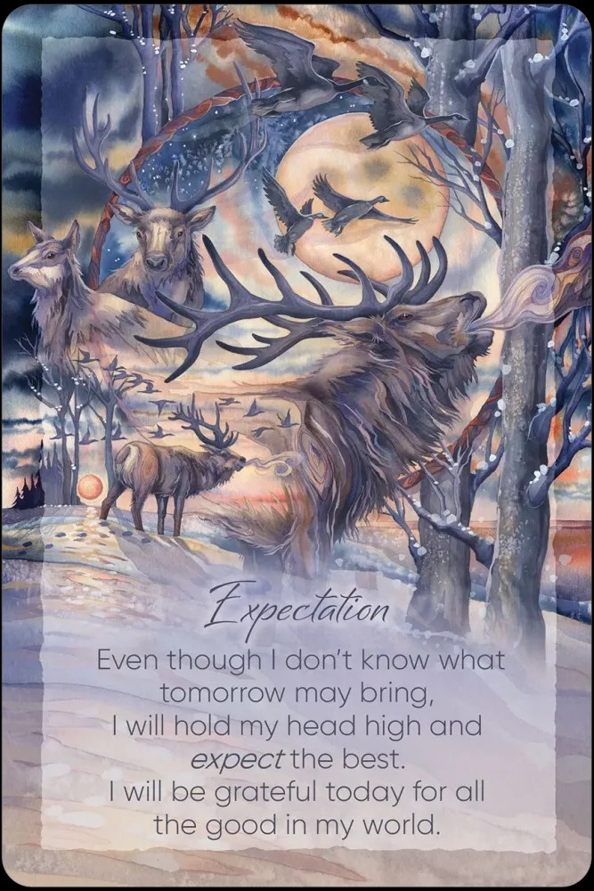 The Light Within: Affirmations for Daily Inspiration and Guidance