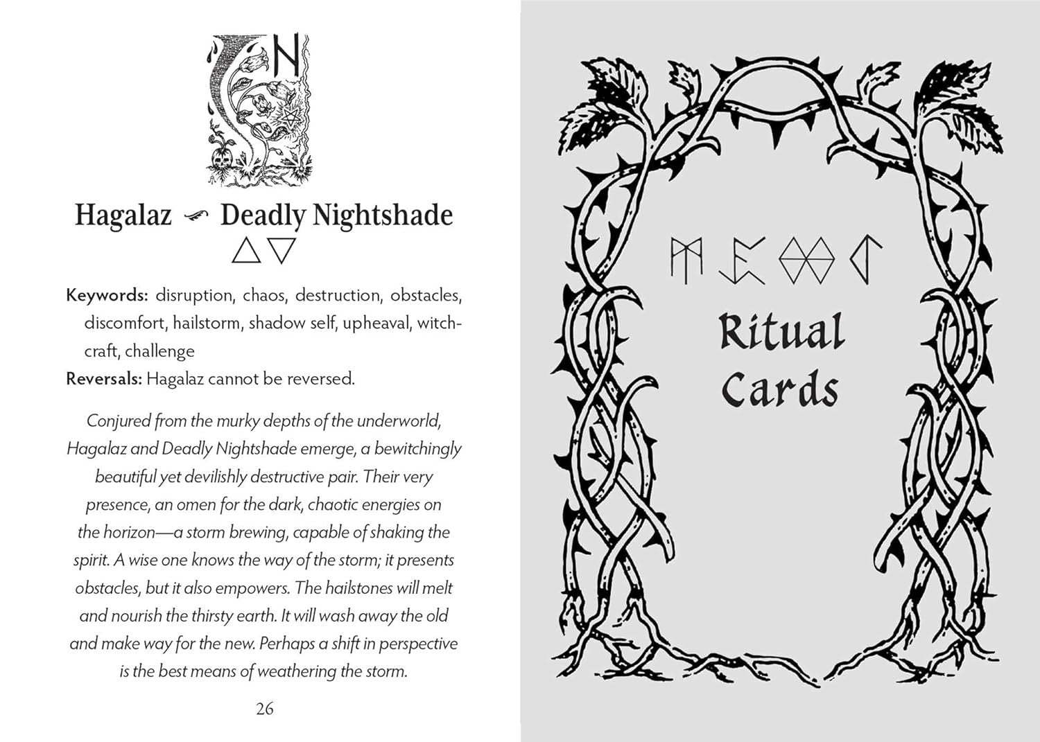 The Runes and Roots Oracle: A 36-Card Deck and Guidebook