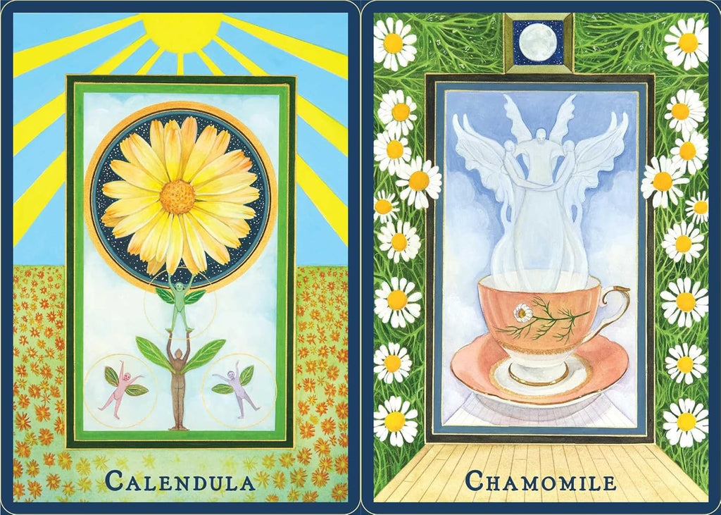 Plant Spirits Oracle: A 40-Card Deck and Guidebook