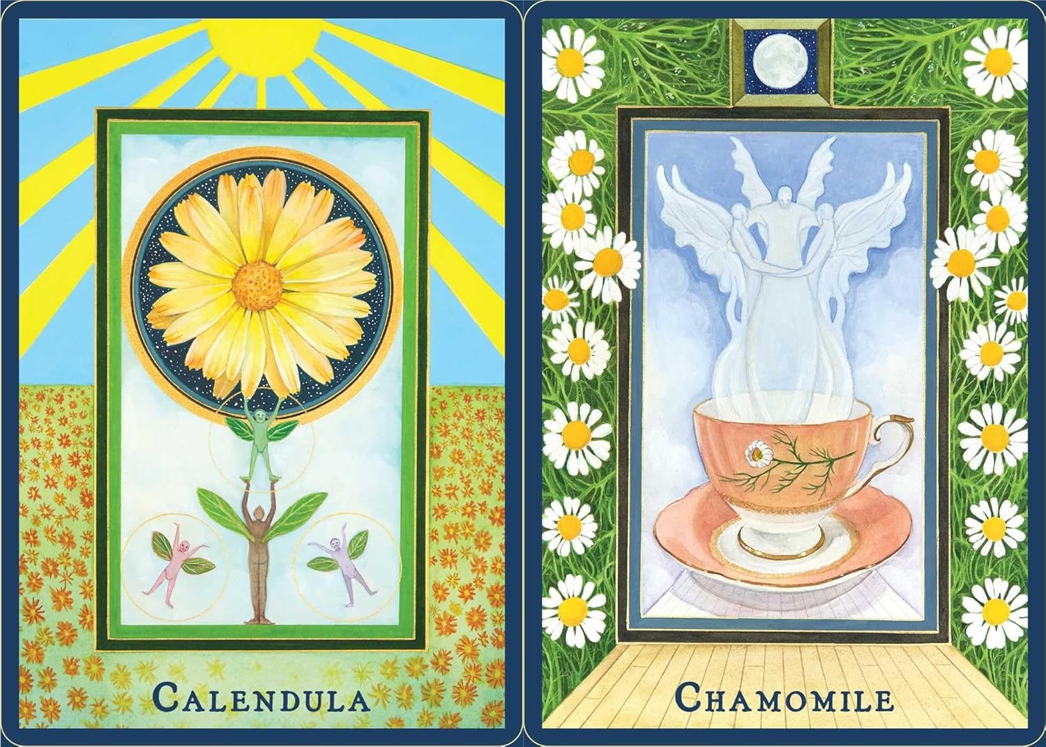 Plant Spirits Oracle: A 40-Card Deck and Guidebook