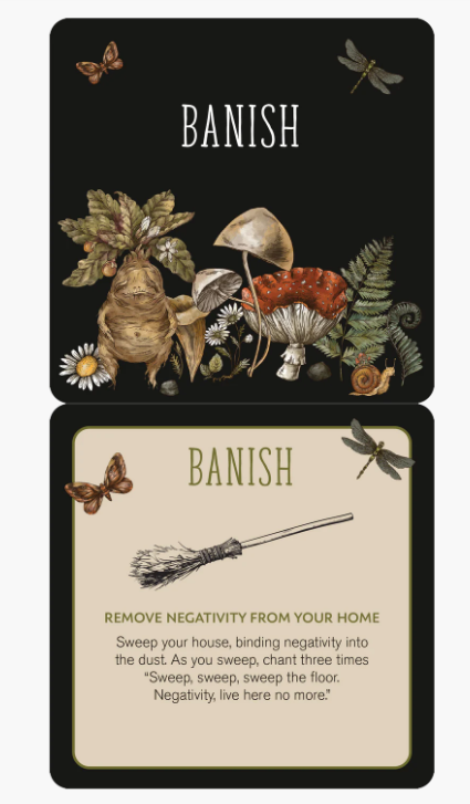 Everyday Spells for Busy Witches Insight Cards