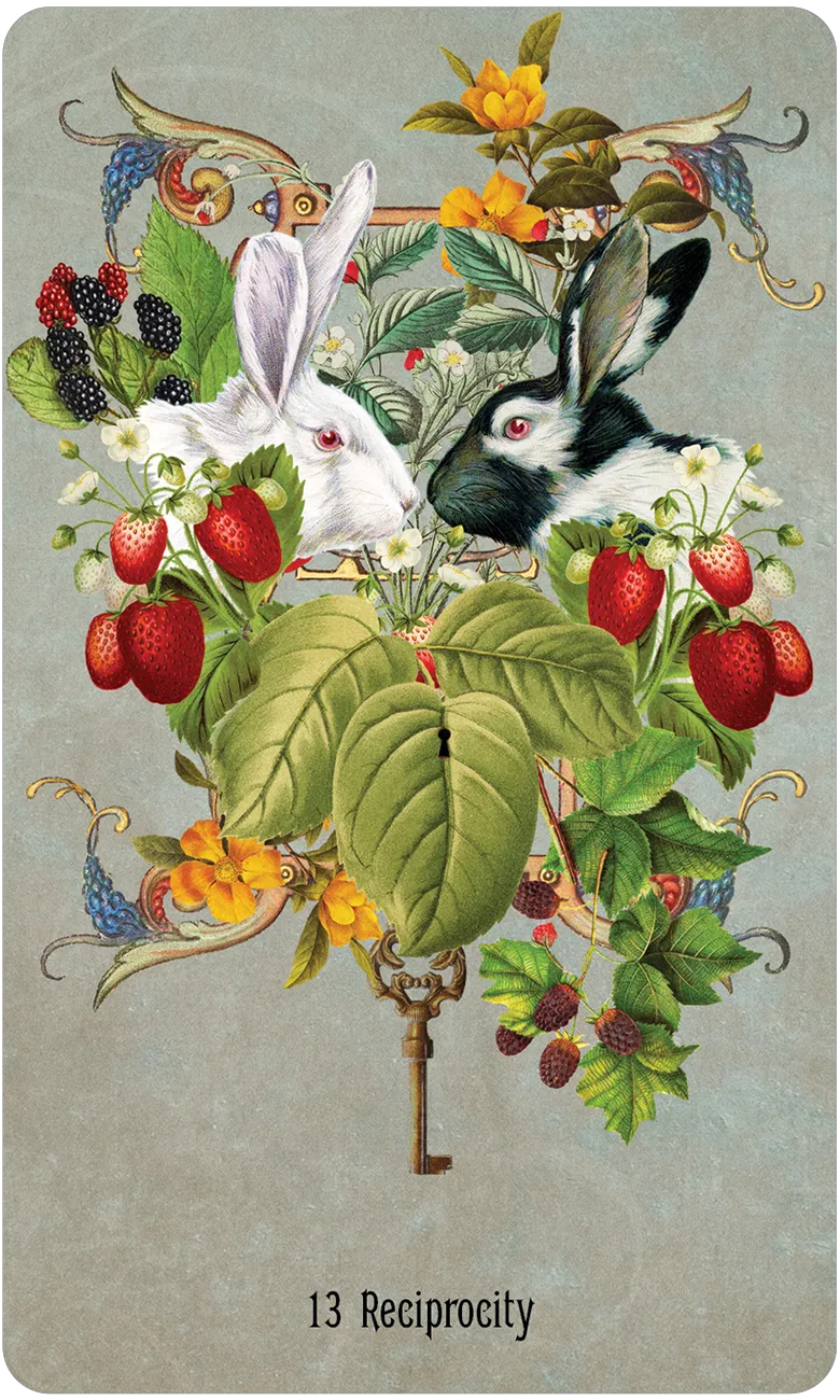 Unlocking the Secret Garden Oracle