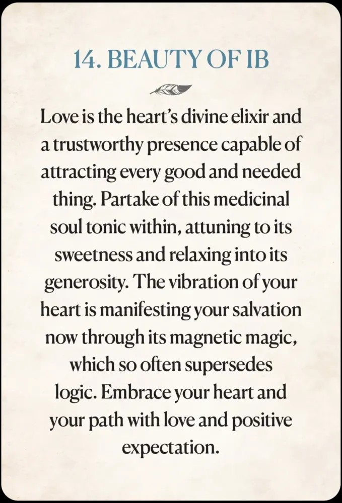 Medicine Heart Oracle Pocket Panda Edition