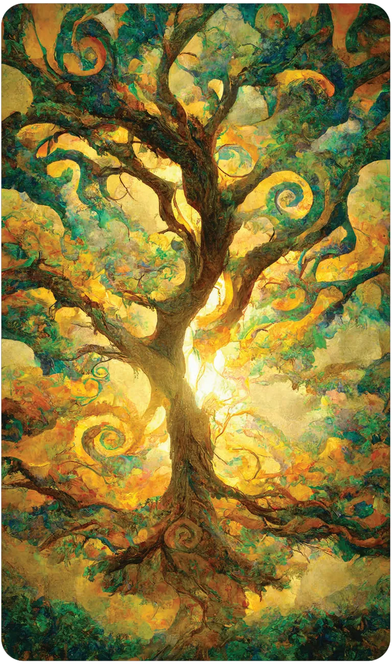 The Path of Light Oracle