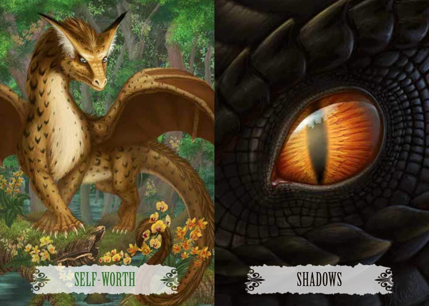 Dragon Wisdom: 43-Card Oracle Deck and Book